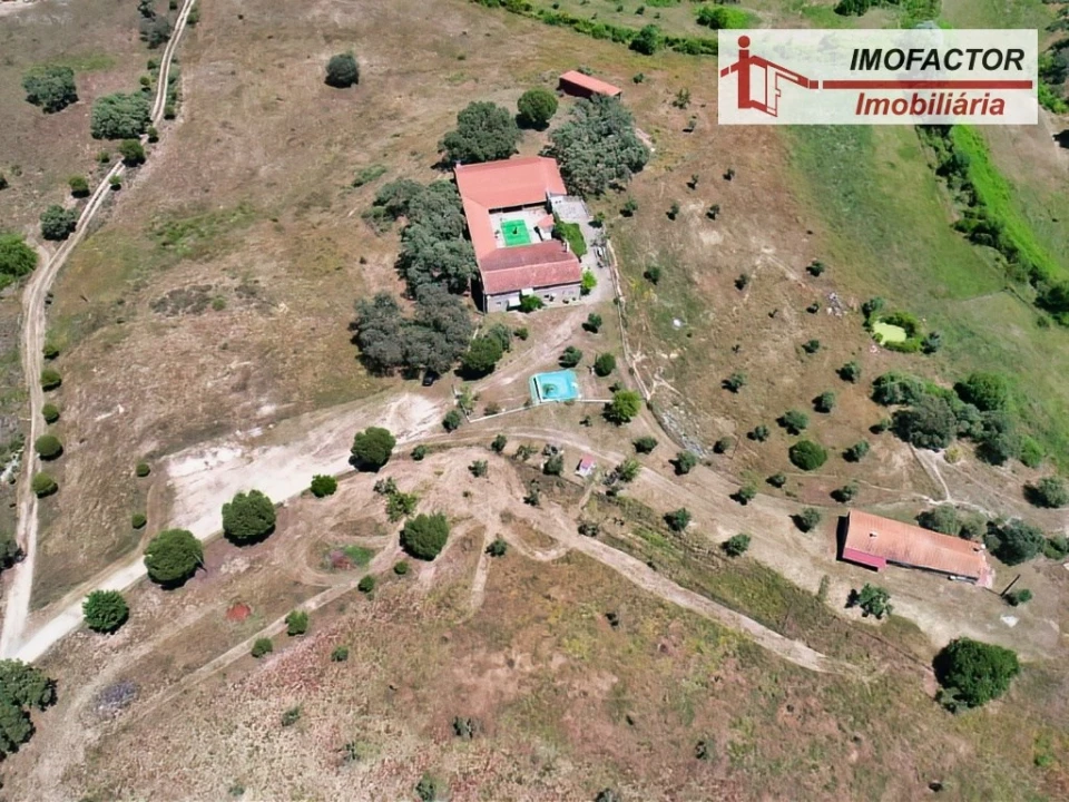 Quinta T8 para Venda em Castelo Branco Foto 86