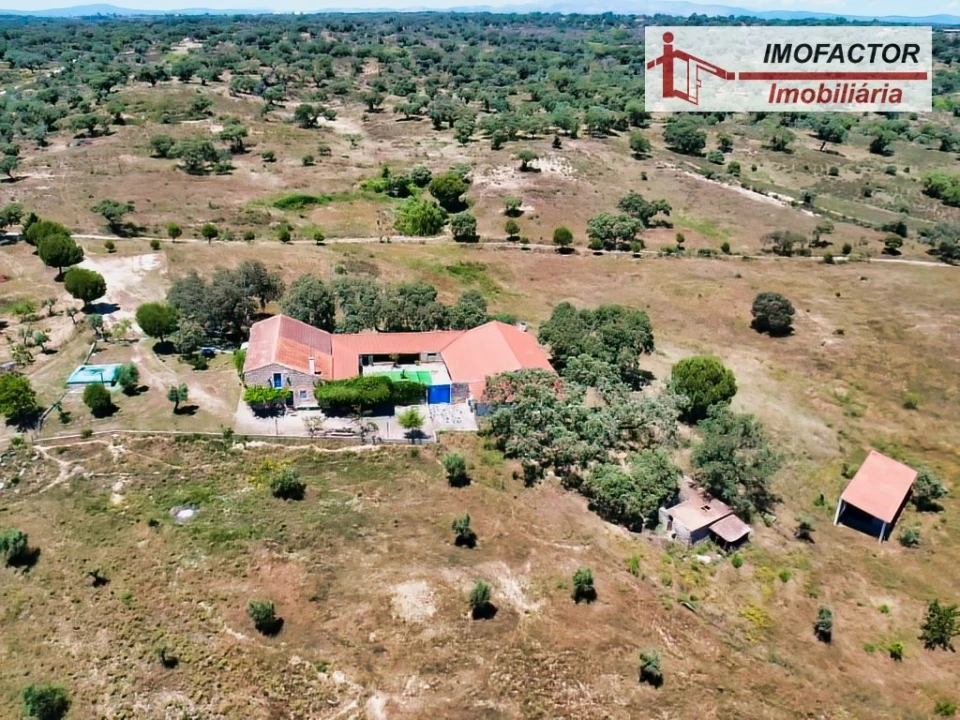 Quinta T8 para Venda em Castelo Branco Foto 91