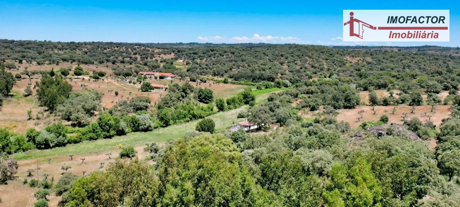 Quinta T8 para Venda em Castelo Branco Foto 92