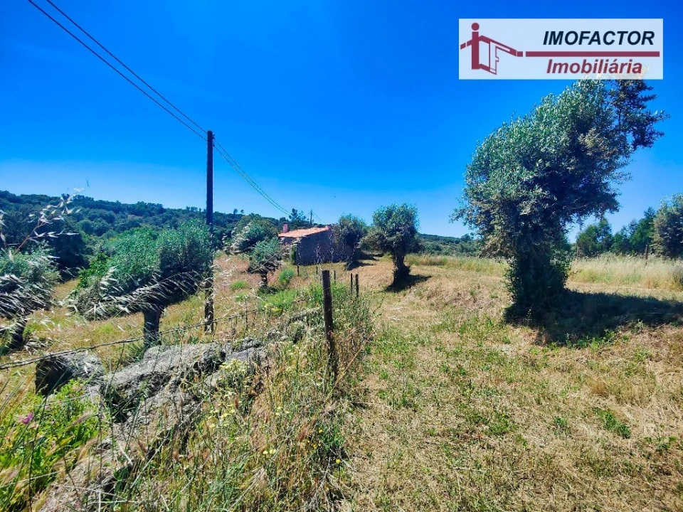 Quinta T8 para Venda em Castelo Branco Foto 20