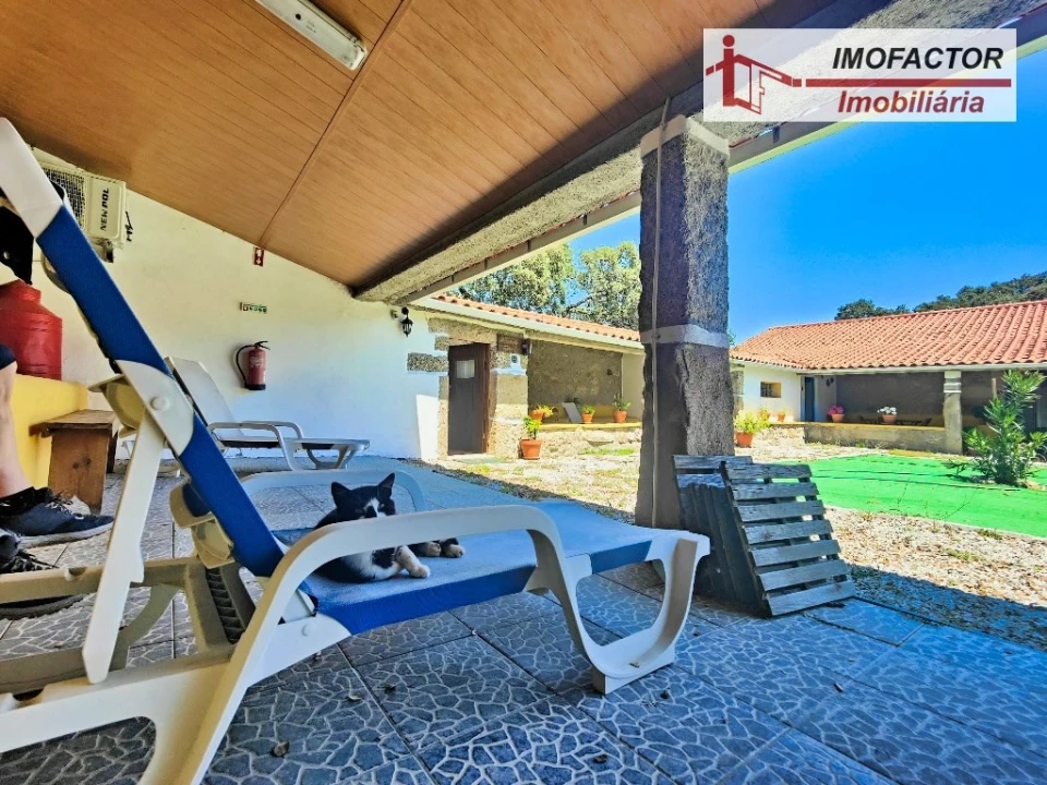 Quinta T8 para Venda em Castelo Branco Foto 73