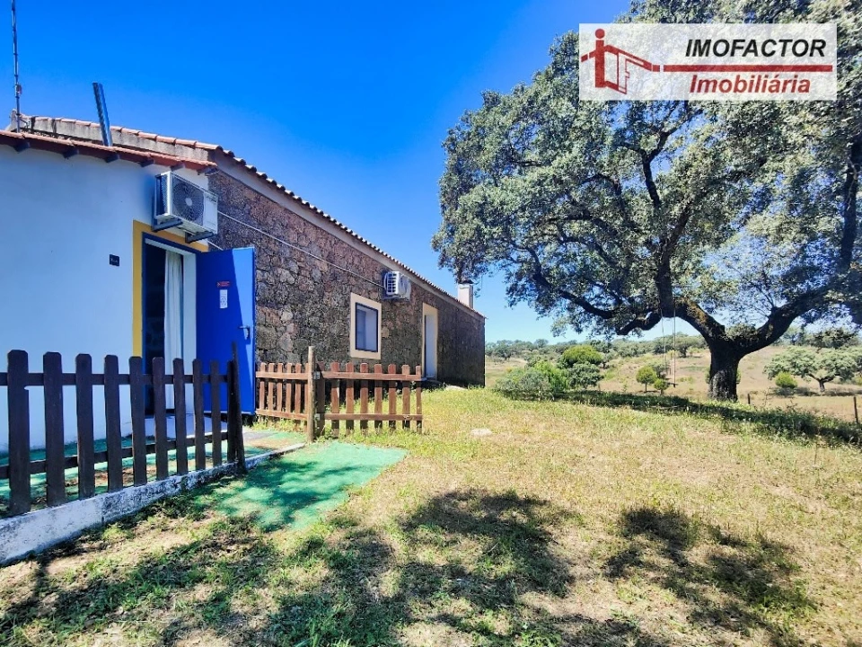 Quinta T8 para Venda em Castelo Branco Foto 14