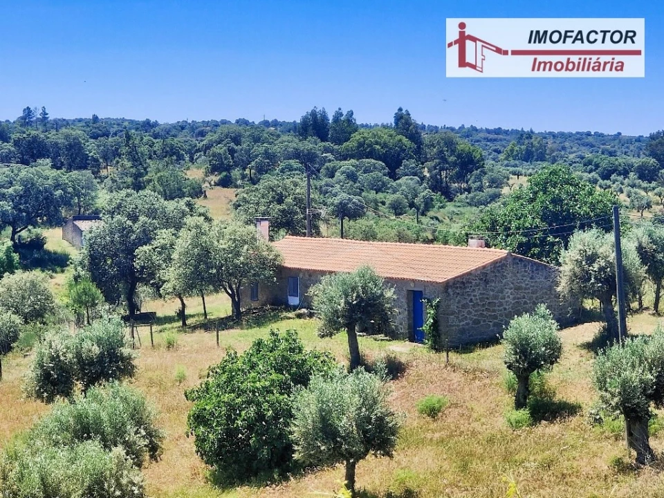 Quinta T8 para Venda em Castelo Branco Foto 16
