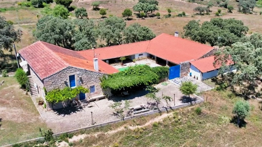 Quinta T8 para Venda em Castelo Branco