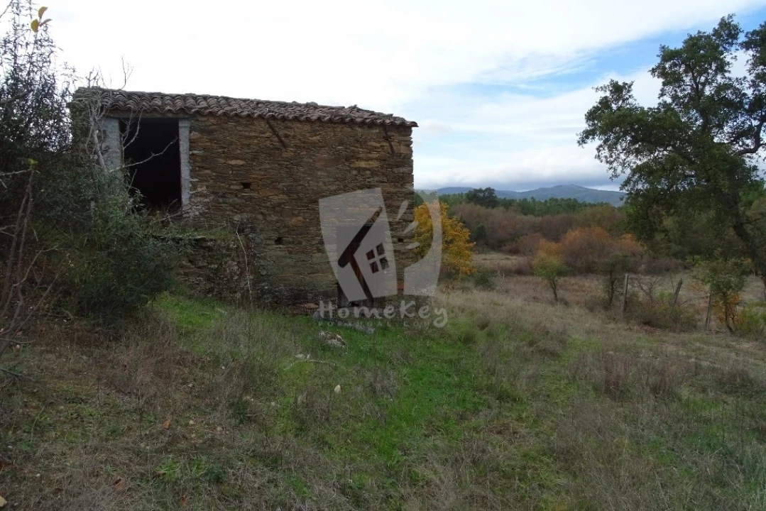 Terreno Agricola ou Rústico para Venda em Santo Andre das Tojeiras Foto 25