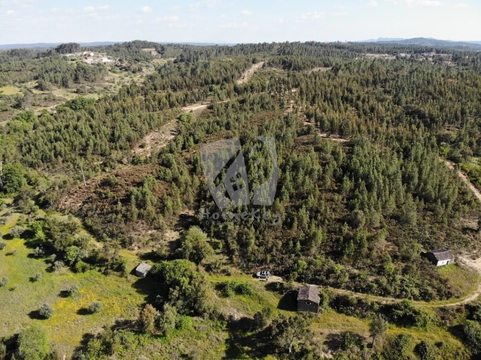 Terreno Agricola ou Rústico para Venda em Santo Andre das Tojeiras Foto 22