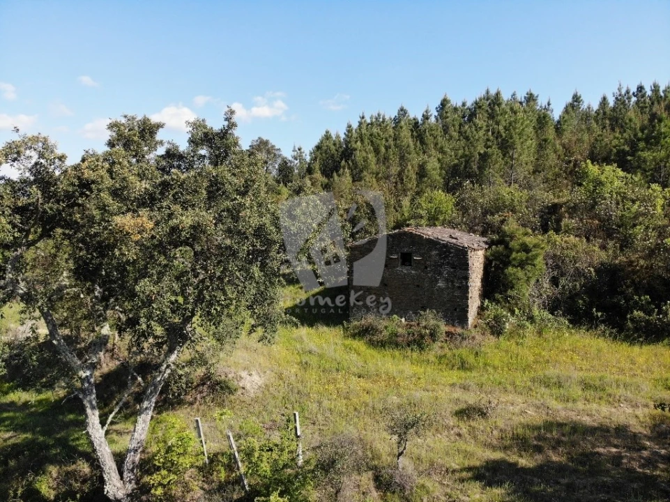 Terreno Agricola ou Rústico para Venda em Santo Andre das Tojeiras Foto 19