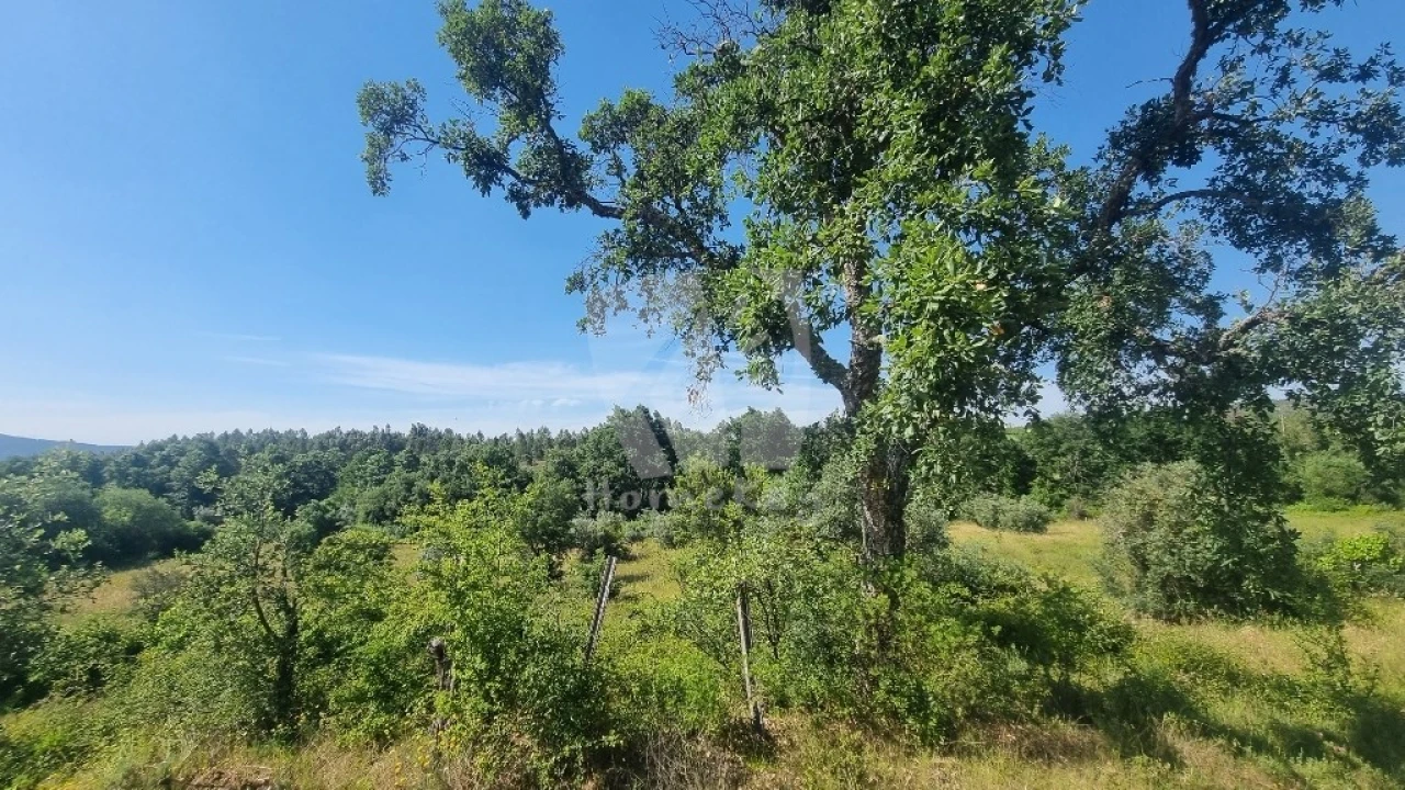 Terreno Agricola ou Rústico para Venda em Santo Andre das Tojeiras Foto 48