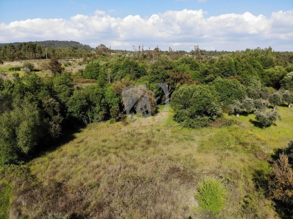 Terreno Agricola ou Rústico para Venda em Santo Andre das Tojeiras Foto 16