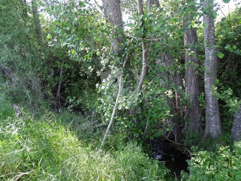 Terreno Agricola ou Rústico para Venda em Santo Andre das Tojeiras Foto 7