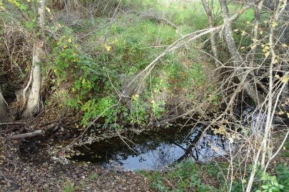 Terreno Agricola ou Rústico para Venda em Santo Andre das Tojeiras