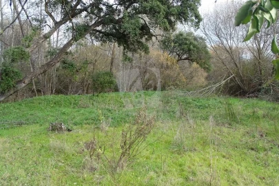 Terreno Agricola ou Rústico para Venda em Santo Andre das Tojeiras