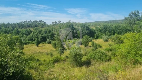Terreno Agricola ou Rústico para Venda em Santo Andre das Tojeiras
