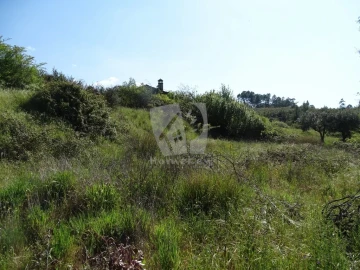 Terreno Agricola ou Rústico para Venda em Santo Andre das Tojeiras