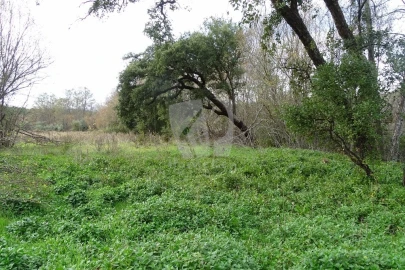 Terreno Agricola ou Rústico para Venda em Santo Andre das Tojeiras