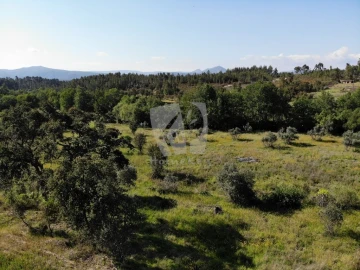 Terreno Agricola ou Rústico para Venda em Santo Andre das Tojeiras