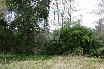 Terreno Agricola ou Rústico para Venda em Santo Andre das Tojeiras