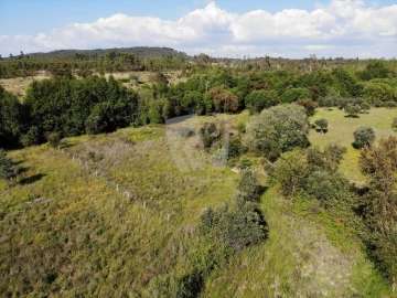 Terreno Agricola ou Rústico para Venda em Santo Andre das Tojeiras
