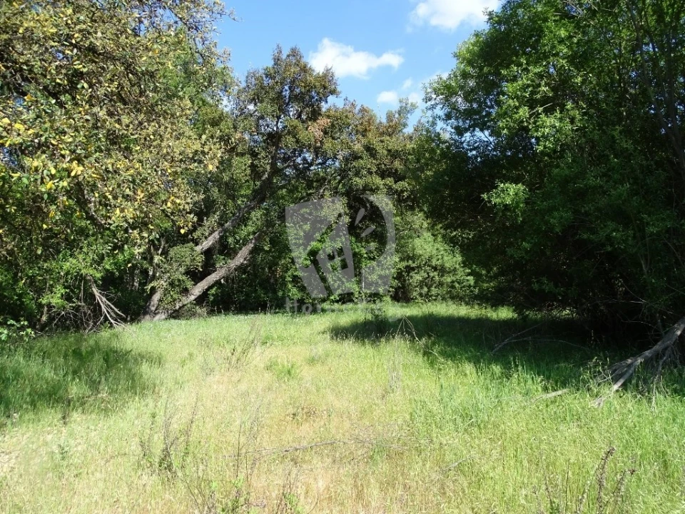 Terreno Agricola ou Rústico para Venda em Santo Andre das Tojeiras Foto 39