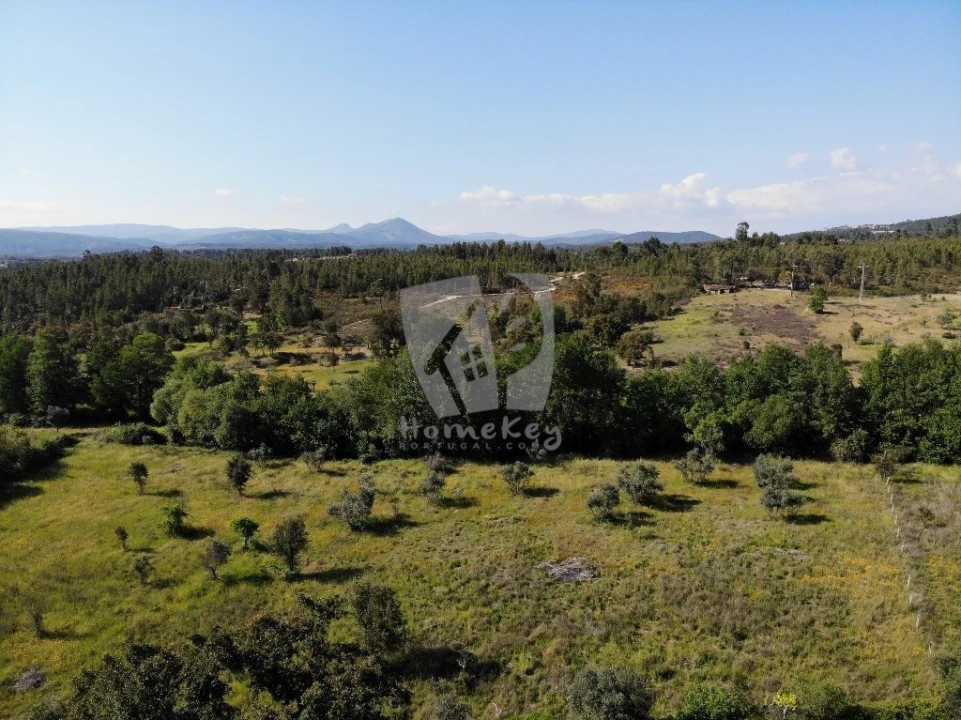 Terreno Agricola ou Rústico para Venda em Santo Andre das Tojeiras Foto 3