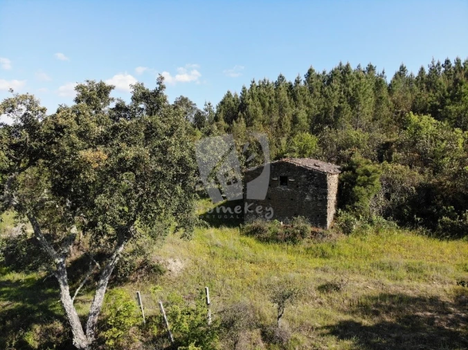 Terreno Agricola ou Rústico para Venda em Santo Andre das Tojeiras Foto 19