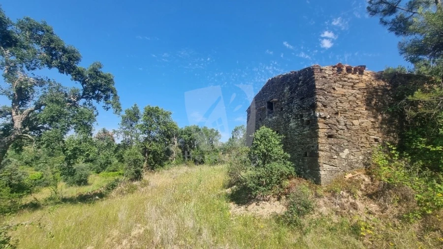 Terreno Agricola ou Rústico para Venda em Santo Andre das Tojeiras