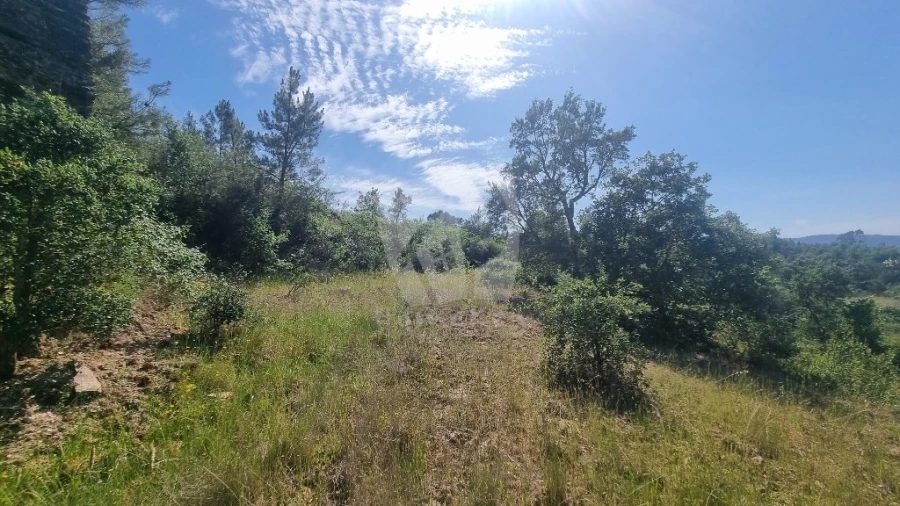 Terreno Agricola ou Rústico para Venda em Santo Andre das Tojeiras Foto 47