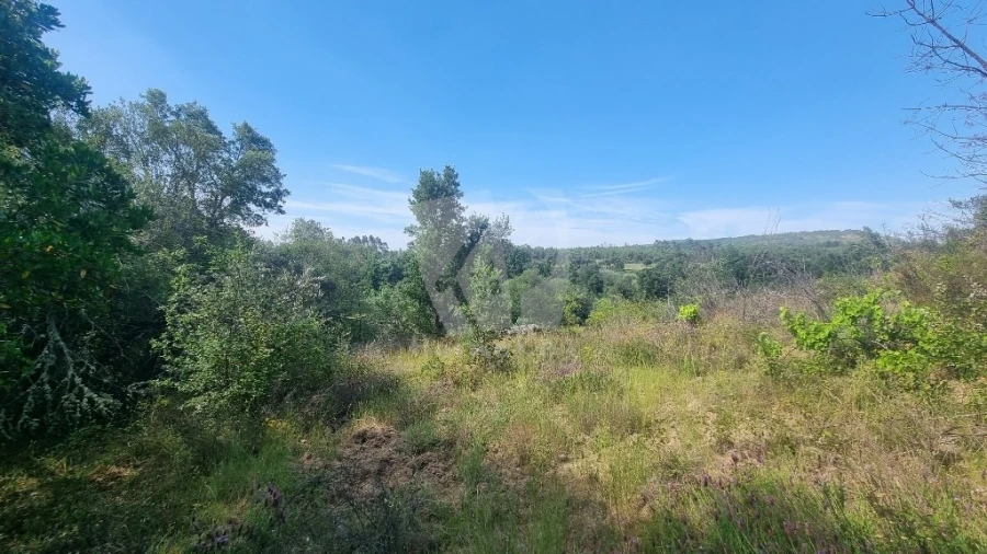 Terreno Agricola ou Rústico para Venda em Santo Andre das Tojeiras Foto 43