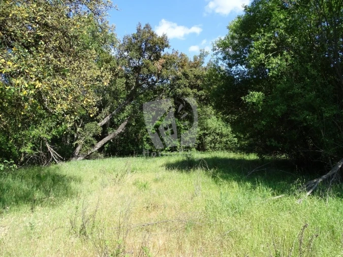 Terreno Agricola ou Rústico para Venda em Santo Andre das Tojeiras Foto 39