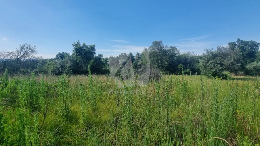 Terreno Agricola ou Rústico para Venda em Santo Andre das Tojeiras Foto 58