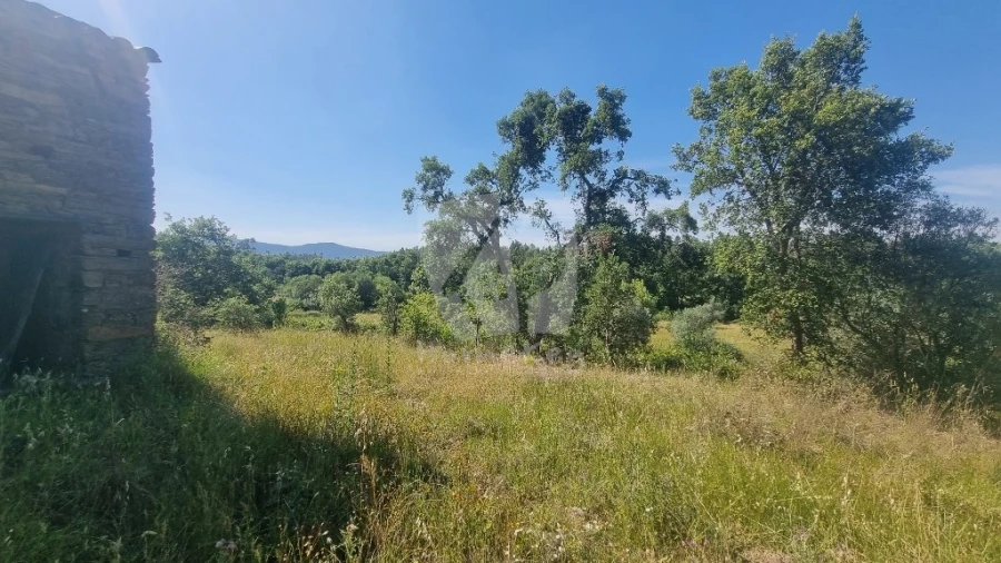 Terreno Agricola ou Rústico para Venda em Santo Andre das Tojeiras Foto 26