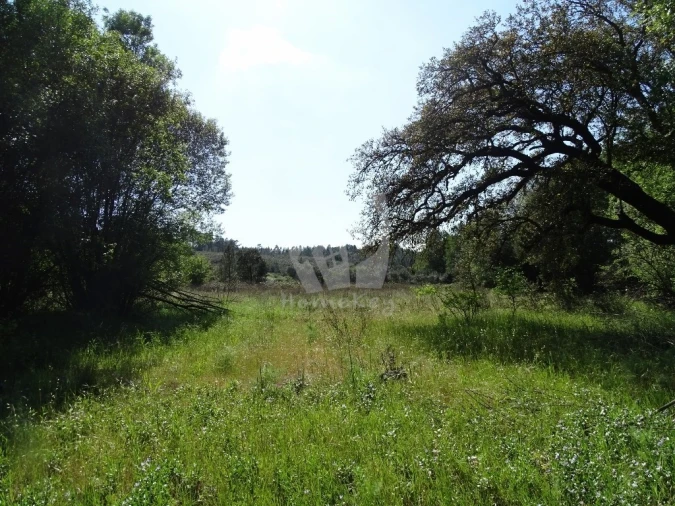 Terreno Agricola ou Rústico para Venda em Santo Andre das Tojeiras Foto 41