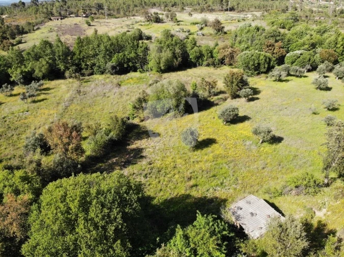 Terreno Agricola ou Rústico para Venda em Santo Andre das Tojeiras Foto 5