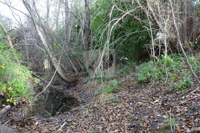Terreno Agricola ou Rústico para Venda em Santo Andre das Tojeiras Foto 32