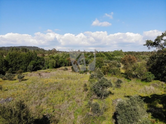 Terreno Agricola ou Rústico para Venda em Santo Andre das Tojeiras Foto 20
