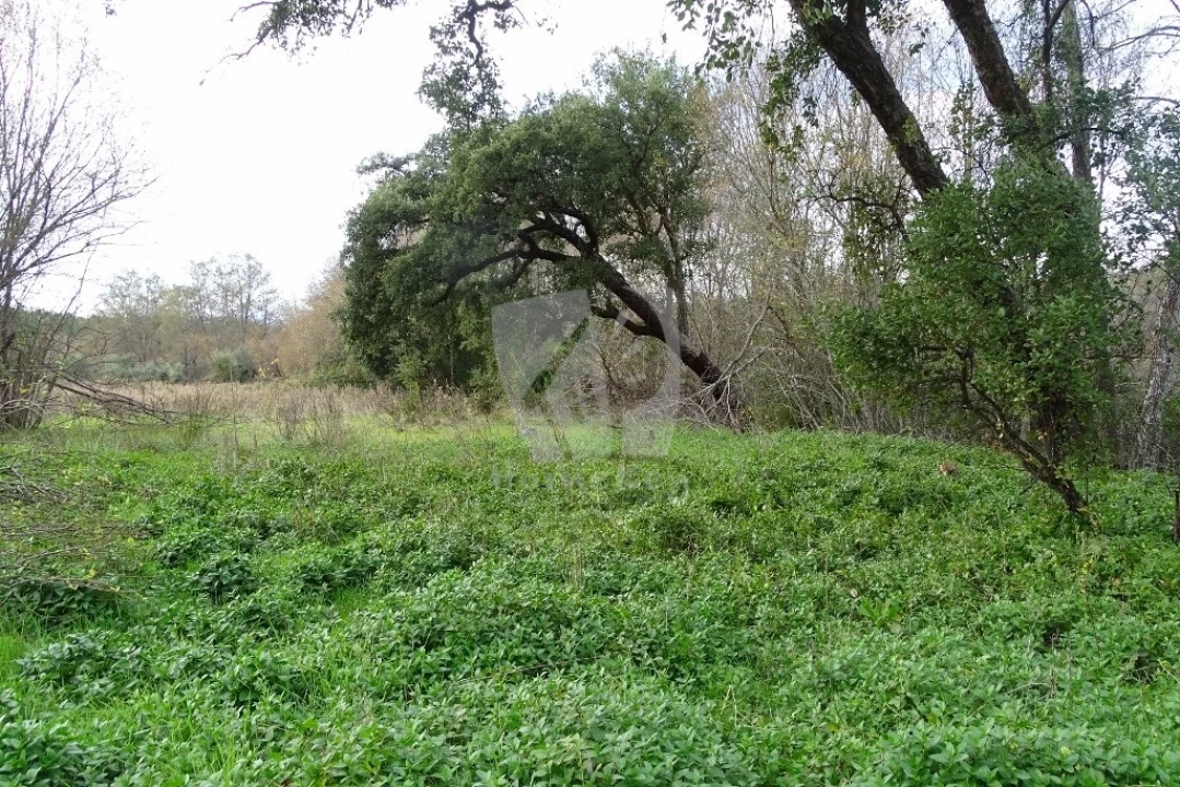 Terreno Agricola ou Rústico para Venda em Santo Andre das Tojeiras Foto 37
