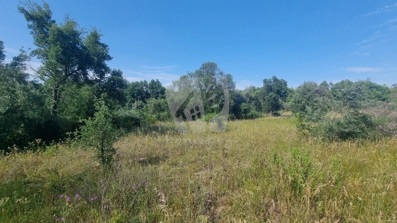 Terreno Agricola ou Rústico para Venda em Santo Andre das Tojeiras Foto 54