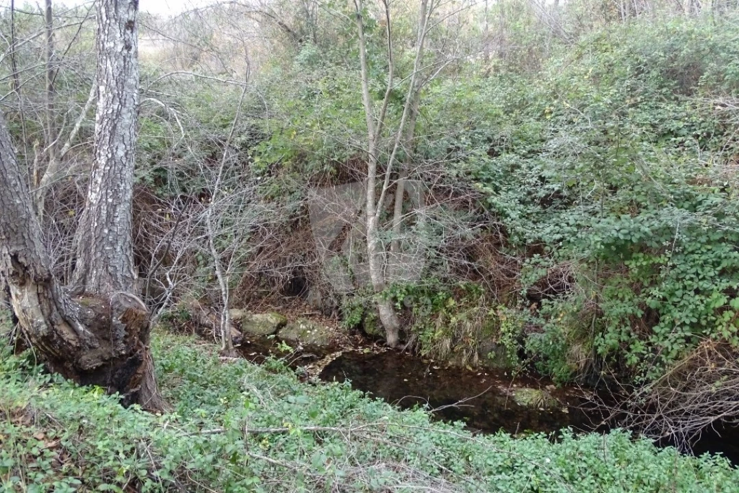 Terreno Agricola ou Rústico para Venda em Santo Andre das Tojeiras Foto 36
