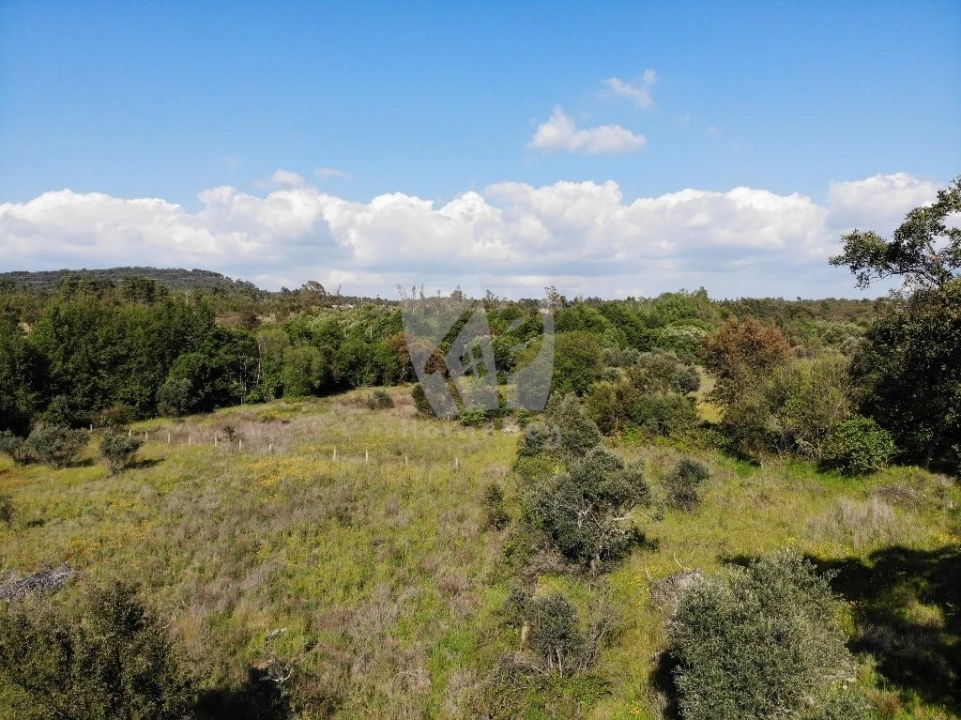 Terreno Agricola ou Rústico para Venda em Santo Andre das Tojeiras Foto 20