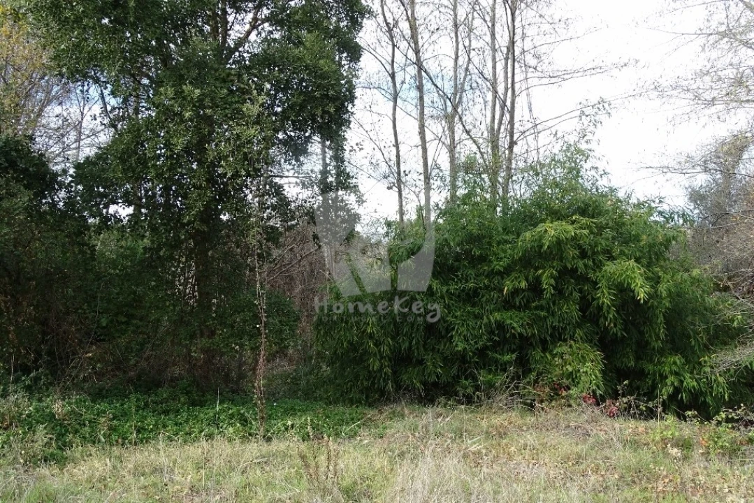 Terreno Agricola ou Rústico para Venda em Santo Andre das Tojeiras Foto 34