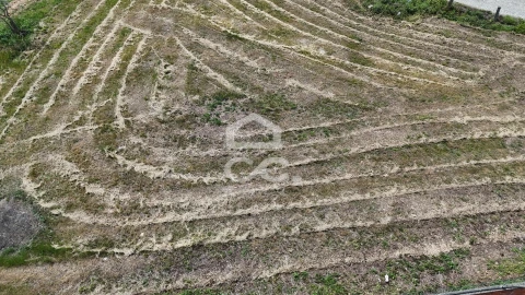 Terreno para Venda em Madalena e Samaiões