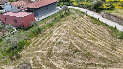 Terreno para Venda em Madalena e Samaiões
