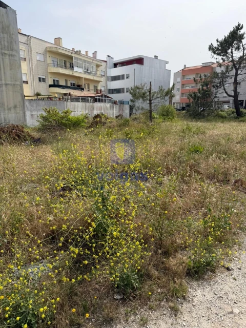 Terreno para Venda em Marinha Grande