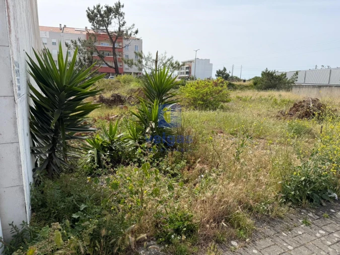 Terreno para Venda em Marinha Grande Foto 2