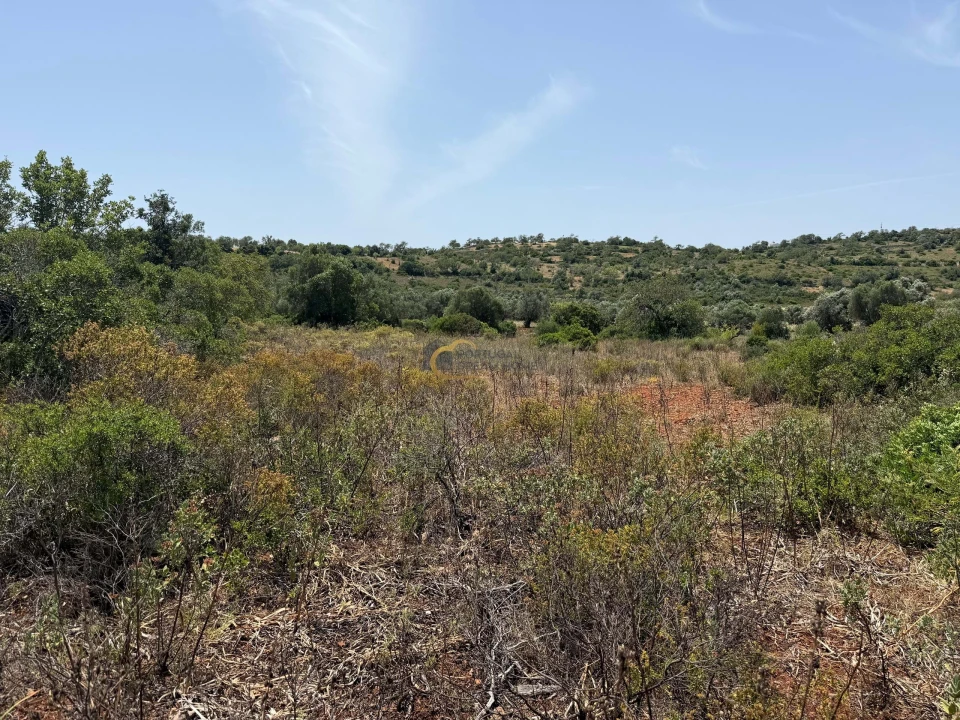 Terreno Agricola ou Rústico para Venda em Paderne Foto 5