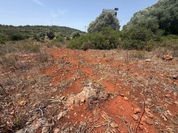 Terreno Agricola ou Rústico para Venda em Paderne