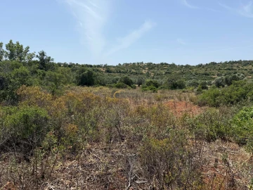 Terreno Agricola ou Rústico para Venda em Paderne