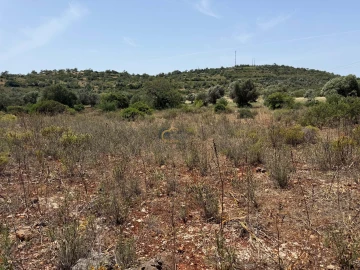 Terreno Agricola ou Rústico para Venda em Paderne