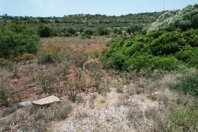 Terreno Agricola ou Rústico para Venda em Paderne