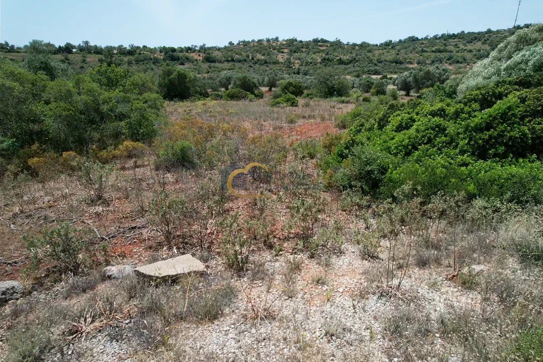 Terreno Agricola ou Rústico para Venda em Paderne Foto 6